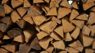 الخشب الزان الدمياطي